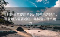 黑料网日常使用笔记：哪些地方好用，哪些地方需要适应，黑料是干什么用的