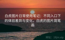 白虎图片日常使用笔记：不同入口下的体验差异与变化，白虎的图片简笔画