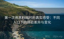 第一次用黑料网时的真实感受：不同入口下的体验差异与变化