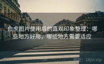 白虎图片使用后的直观印象整理：哪些地方好用，哪些地方需要适应