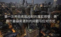 第一次用白虎图片时的真实感受：新用户最容易遇到的问题与应对方式