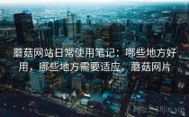 蘑菇网站日常使用笔记：哪些地方好用，哪些地方需要适应，蘑菇网片