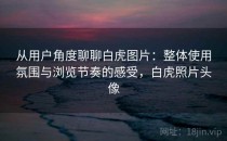 从用户角度聊聊白虎图片：整体使用氛围与浏览节奏的感受，白虎照片头像