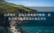 白虎图片｜站在实用角度的整理：视觉风格与整体观感的真实评价