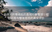 白虎图片使用后的直观印象整理：视觉风格与整体观感的真实评价