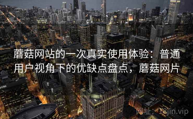 蘑菇网站的一次真实使用体验：普通用户视角下的优缺点盘点，蘑菇网片  第2张
