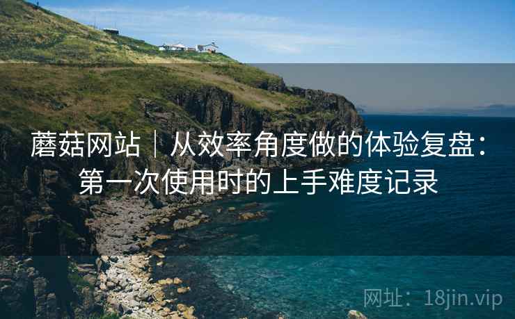 蘑菇网站|从效率角度做的体验复盘:第一次使用时的上手难度记录 第2张 蘑菇网站|从效率角度做的体验复盘:第一次使用时的上手难度记录 第2张