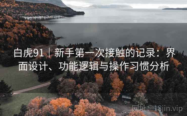 白虎91|新手第一次接触的记录:界面设计、功能逻辑与操作习惯分析 第2张 白虎91|新手第一次接触的记录:界面设计、功能逻辑与操作习惯分析 第2张