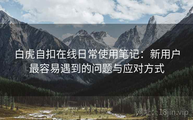 白虎自扣在线日常使用笔记：新用户最容易遇到的问题与应对方式  第1张