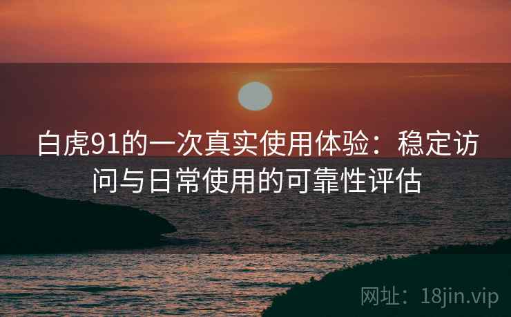 白虎91的一次真实使用体验：稳定访问与日常使用的可靠性评估  第2张
