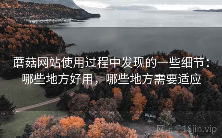 蘑菇网站使用过程中发现的一些细节：哪些地方好用，哪些地方需要适应  第1张