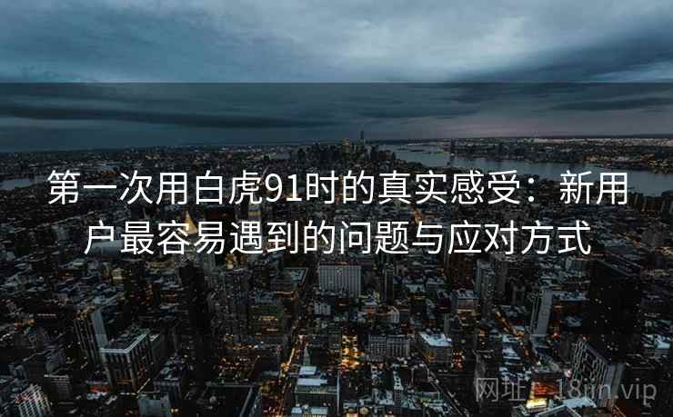 第一次用白虎91时的真实感受:新用户最容易遇到的问题与应对方式 第2张 第一次用白虎91时的真实感受:新用户最容易遇到的问题与应对方式 第2张