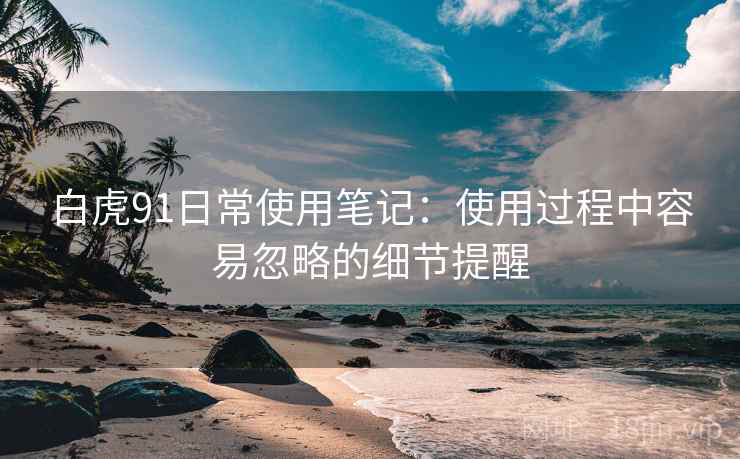 白虎91日常使用笔记:使用过程中容易忽略的细节提醒 第1张 白虎91日常使用笔记:使用过程中容易忽略的细节提醒 第1张