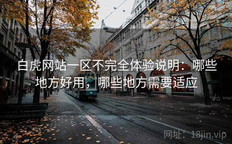 白虎网站一区不完全体验说明:哪些地方好用,哪些地方需要适应 第2张 白虎网站一区不完全体验说明:哪些地方好用,哪些地方需要适应 第2张