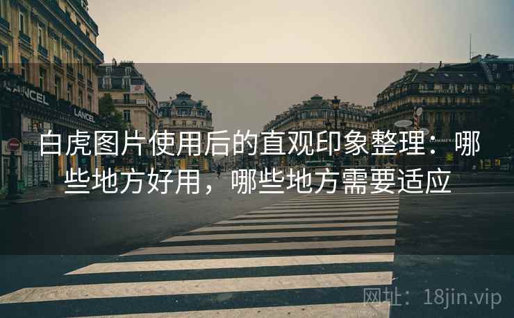 白虎图片使用后的直观印象整理：哪些地方好用，哪些地方需要适应  第1张