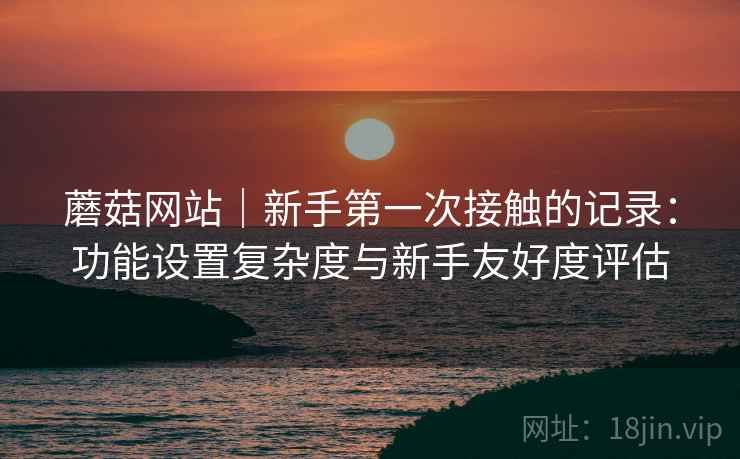 蘑菇网站｜新手第一次接触的记录：功能设置复杂度与新手友好度评估  第1张