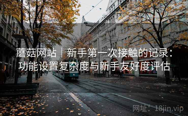蘑菇网站｜新手第一次接触的记录：功能设置复杂度与新手友好度评估  第2张
