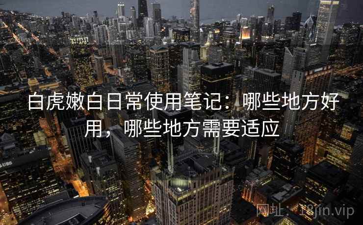 白虎嫩白日常使用笔记：哪些地方好用，哪些地方需要适应  第2张
