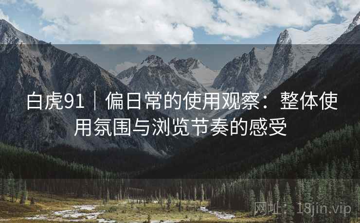 白虎91｜偏日常的使用观察：整体使用氛围与浏览节奏的感受  第1张