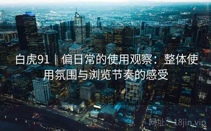 白虎91｜偏日常的使用观察：整体使用氛围与浏览节奏的感受  第2张